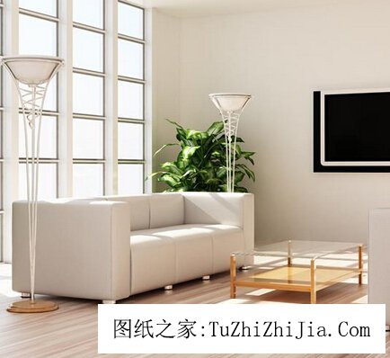 哪些家居擺設(shè)最不利于健康？