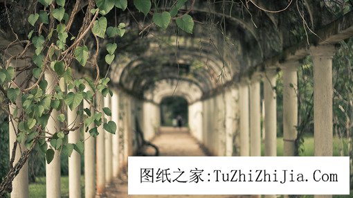 讓你家財萬貫的院落風景