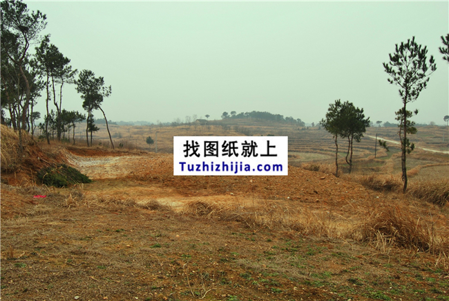 田總回歸田園-在老家自建房全過程。