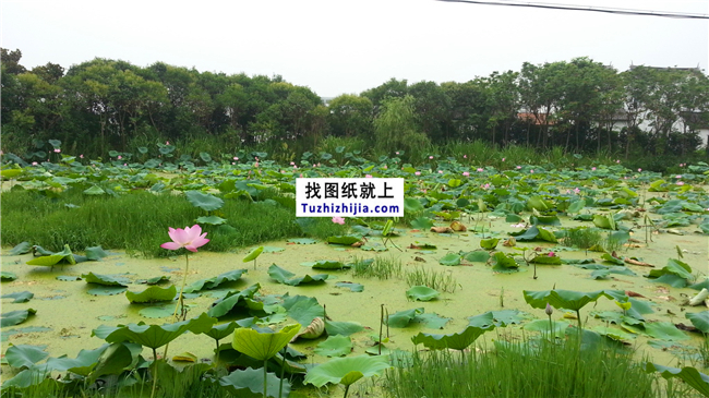 為父母，為自己退休后的養(yǎng)老打造一個舒適的鄉(xiāng)間農(nóng)院！