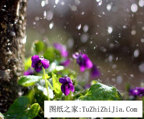 家財萬貫的風景寶地擇選