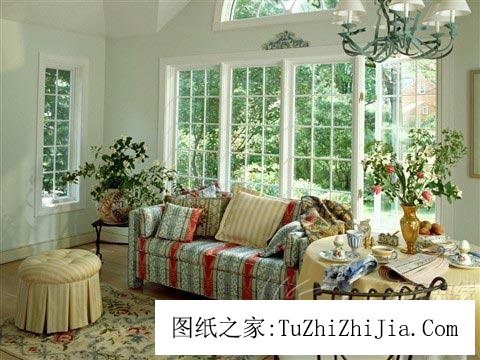 客廳植物盆栽擺放禁忌盤點