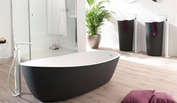 浴室布置三不宜 說說不可忽略的風景細節