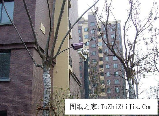 選房先看環(huán)境 室外環(huán)境風(fēng)景大有講究