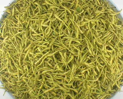 金銀花的功效與作用?金銀花的花語？【圖】