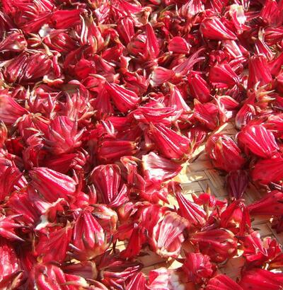 洛神花能減肥嗎？洛神花食用正確的方法【圖】