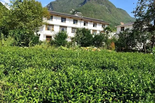 20萬建造的農村小別墅-竟然比城市里面的好看！