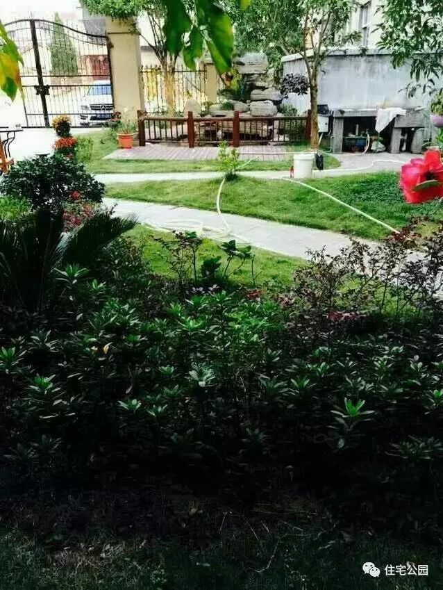 朋友曬美宅，96萬建流水花園別墅、舒適庭院！要多沒有多美！