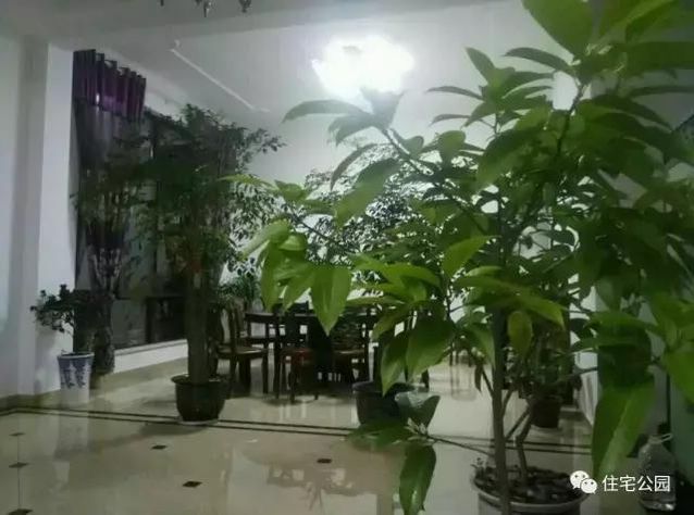 朋友曬美宅，96萬建流水花園別墅、舒適庭院！要多沒有多美！