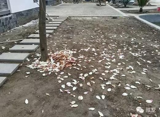 建房還是新中式的好，古樸大氣品位高！網友實拍