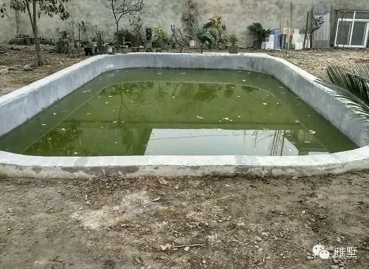 建房還是新中式的好，古樸大氣品位高！網友實拍