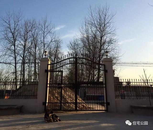 80后小伙千里歸家建新房，力求完美換掉施工隊，只是為了面子？