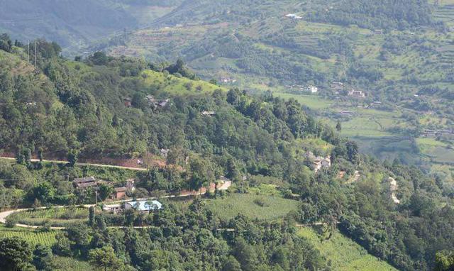 云南35歲單身劉先生。你媽喊你回家建別墅了!