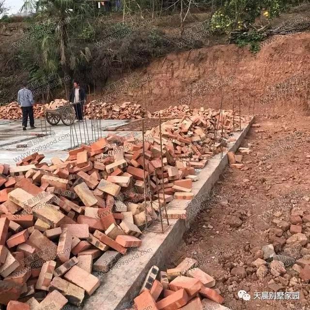 自從蓋了這套歐式別墅設(shè)計(jì)，親戚鄰居來的就勤了！