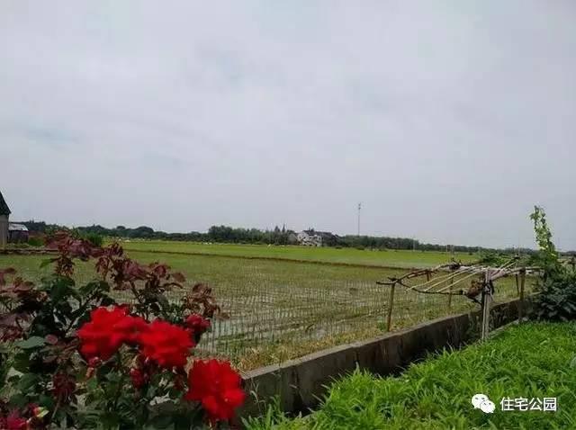 不顧家人阻攔硬是拆掉老宅，自建美式別墅，所有人都羨慕不已！