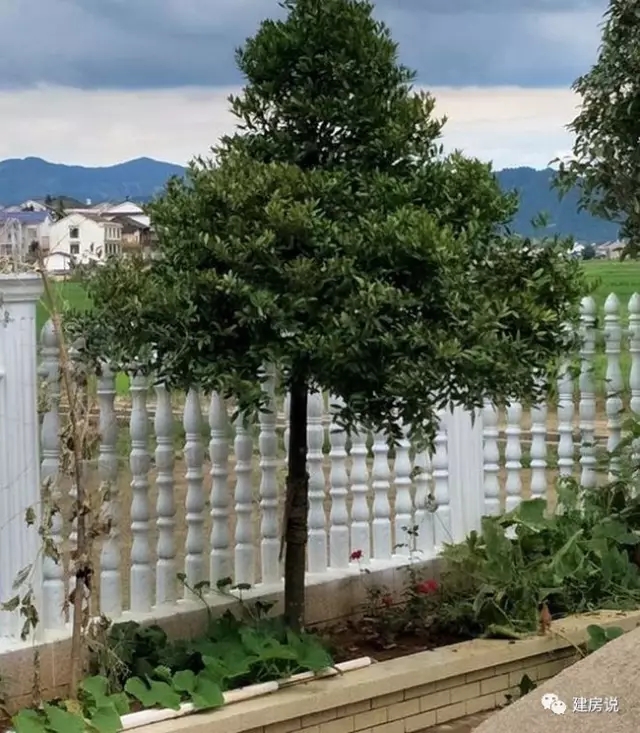 百萬自建三層農村別墅設計方案，建成后是村里最好的！