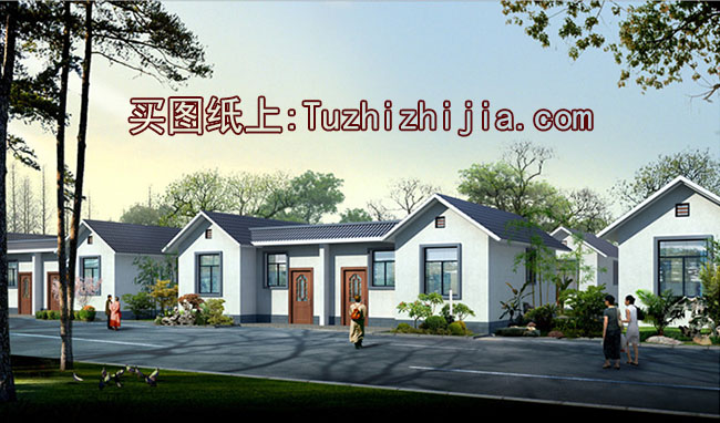 小型雙拼一層平房設計圖，外觀古樸