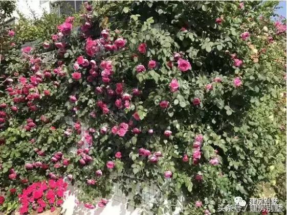 農村簡單二層住宅實拍圖，附室內裝修，造價低