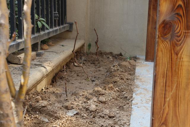 美式別墅豪宅裝修設計方案圖片，還帶小院子