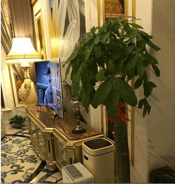 這才是有錢人家的別墅，裝修就花了二百萬