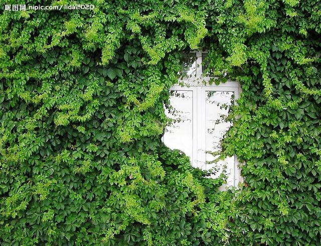 農(nóng)村住別墅要注意的一些風景