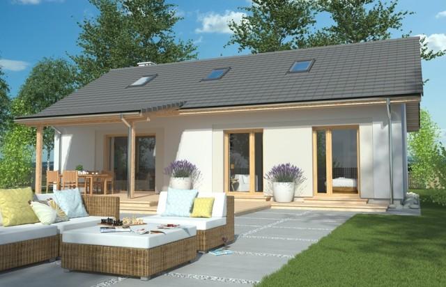 一層坡屋頂平房住宅設計效果圖，簡單、現代