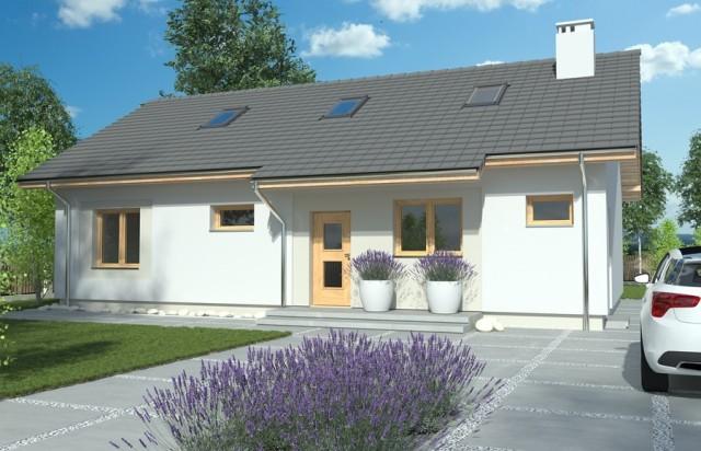 一層坡屋頂平房住宅設計效果圖，簡單、現代