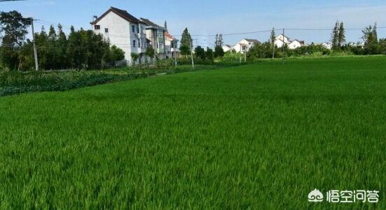 已經(jīng)建好的農(nóng)村自建房沒手續(xù)怎么辦？