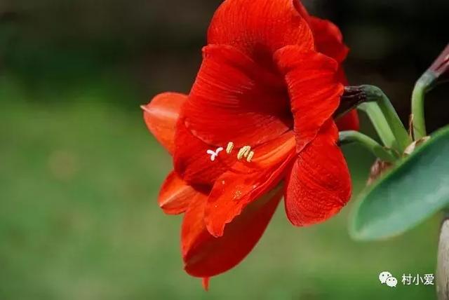 24x14m歐式鄉村別墅設計方案圖，高端、大氣