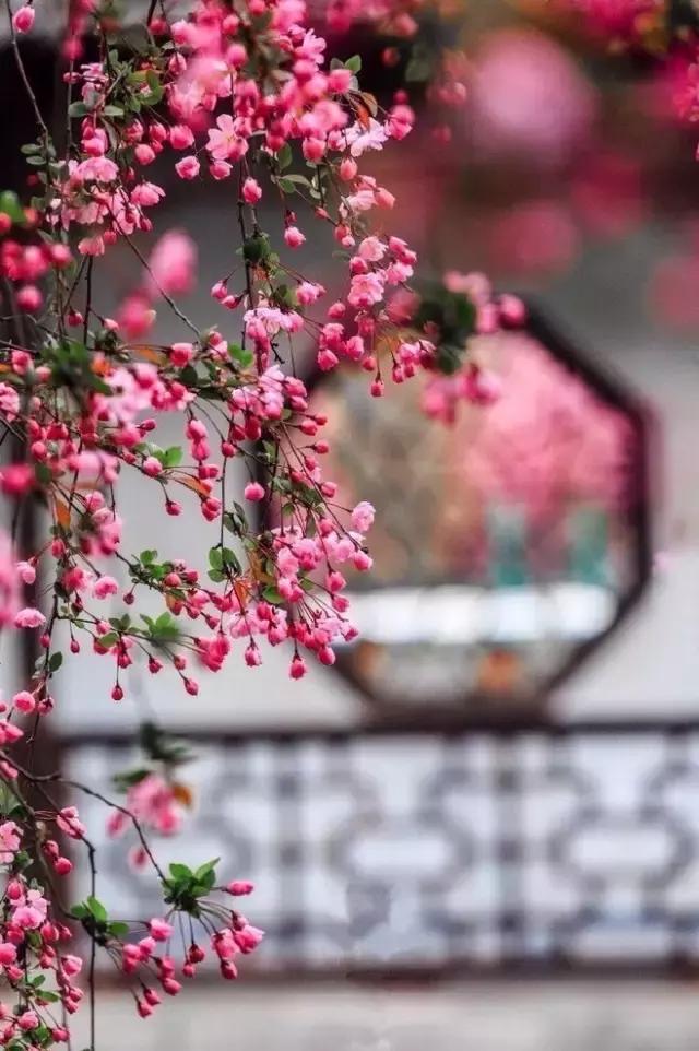 24x14m歐式鄉村別墅設計方案圖，高端、大氣