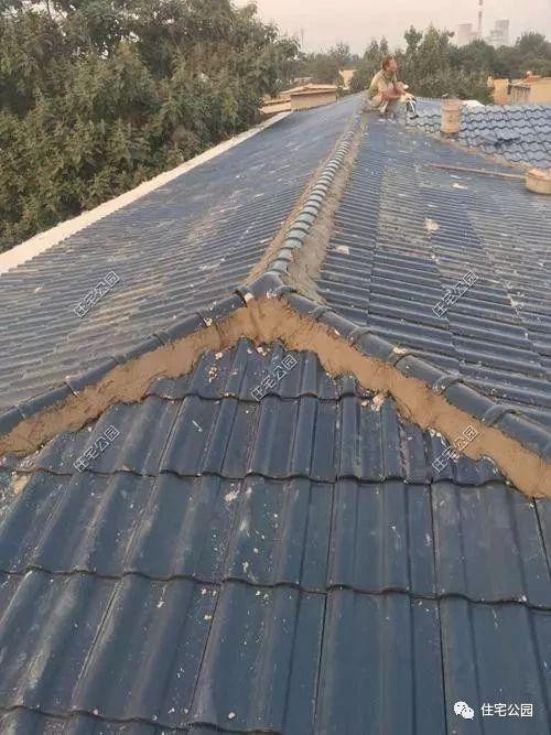 河北農(nóng)村蓋別墅直播，羨慕死城里人