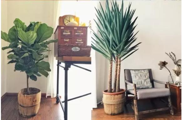 鄉村舊二層樓房改造，改成文藝青年小公寓