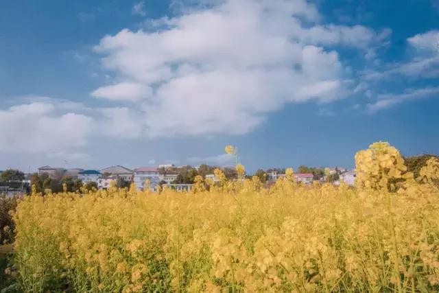 鄉村舊二層樓房改造，改成文藝青年小公寓