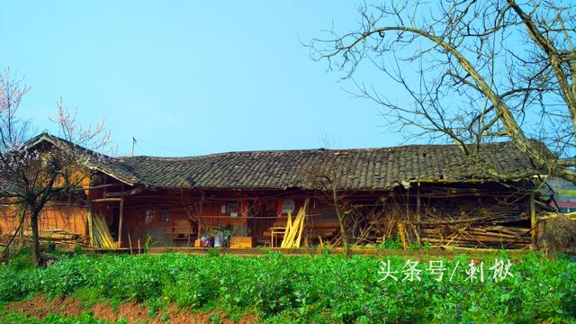 2026農(nóng)村在老宅基地上自建房有哪些新要求？