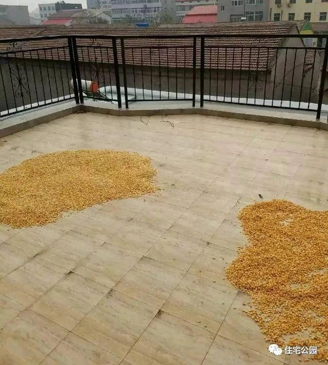 農村自建房輕鋼別墅施工過程實拍，輕鋼別墅施工沒想象的難