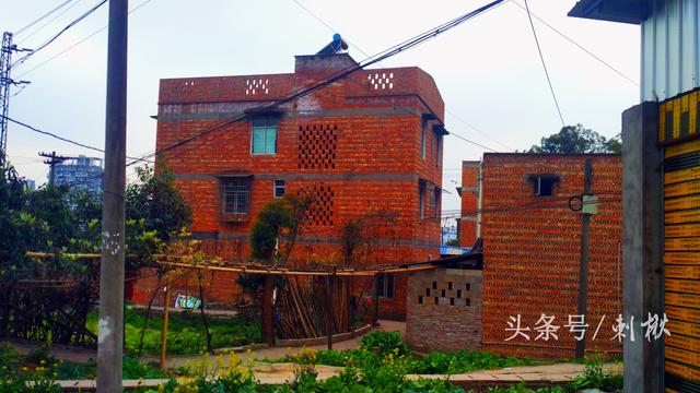 父母留下的宅基地自建房，兒女有處置的權利嗎