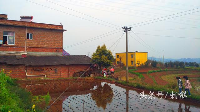 父母留下的宅基地自建房，兒女有處置的權利嗎