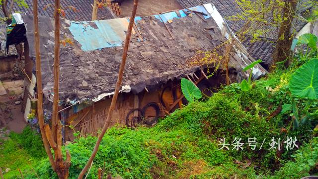 父母留下的宅基地自建房，兒女有處置的權利嗎