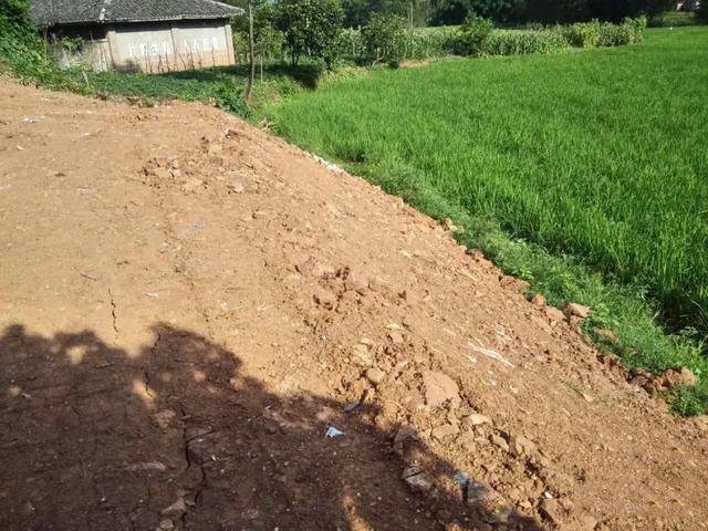 11*11米帶露臺現代二層農村小洋樓設計圖，附施工過程