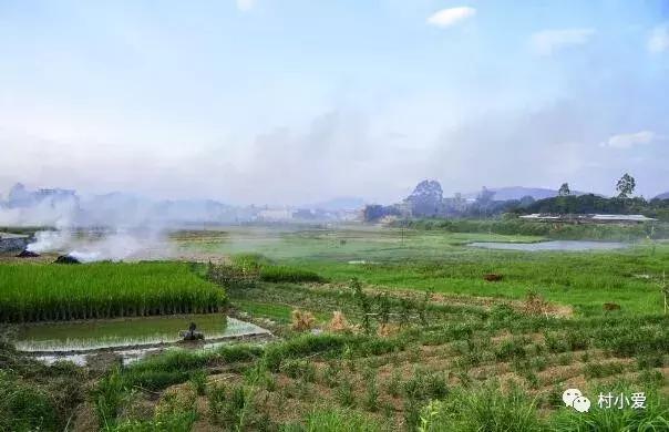 16x16m二層歐式小別墅方案圖，大落地窗+挑空客廳