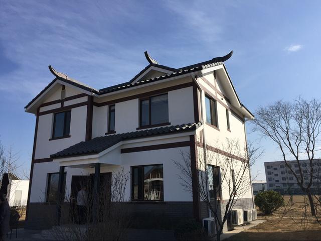 適合農村建的別墅，有地的土豪喜歡哪一款？