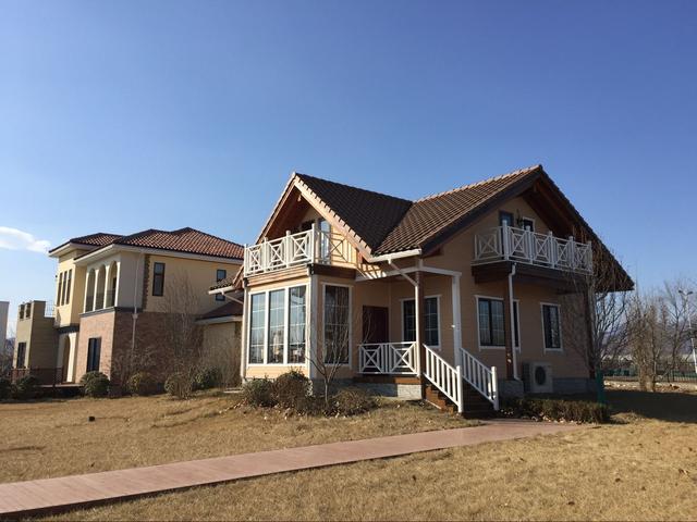 適合農村建的別墅，有地的土豪喜歡哪一款？