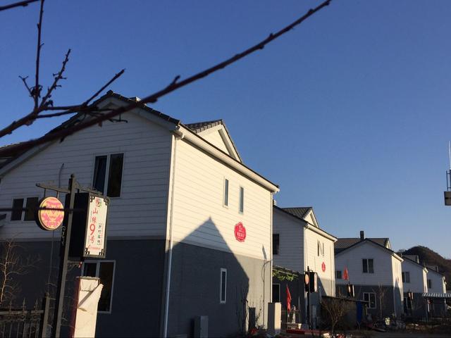 適合農村建的別墅，有地的土豪喜歡哪一款？