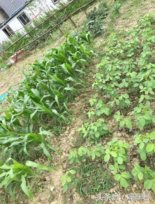 85后小伙子在外地打拼10年回農村老家給爸媽蓋的小別墅~