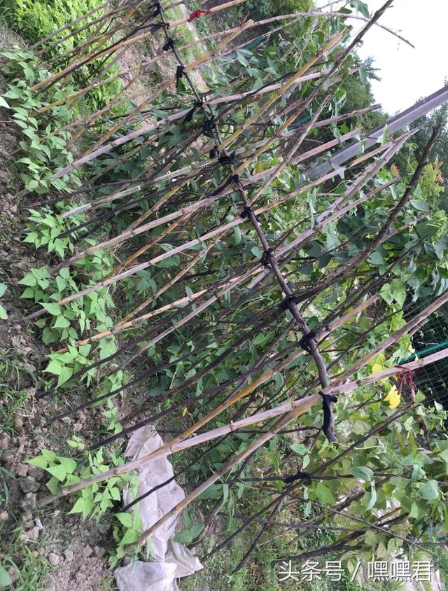 85后小伙子在外地打拼10年回農村老家給爸媽蓋的小別墅~