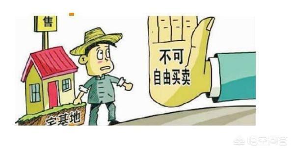 2026年農村宅基地可以自由買賣嗎？