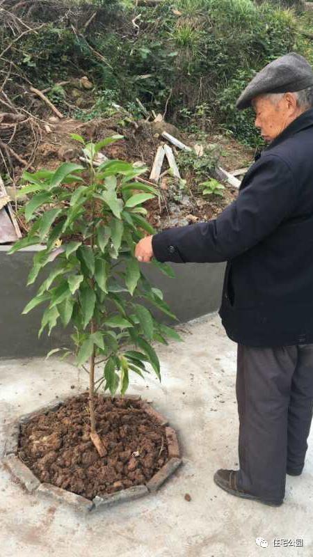 小伙農村自建三合院全記錄，附方案圖和效果圖