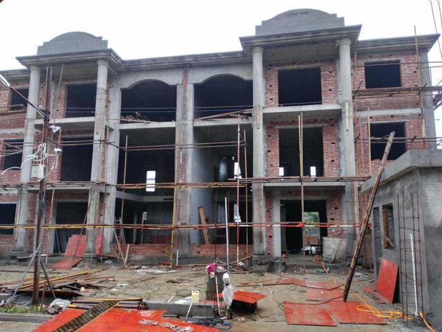 江蘇兄弟宅基地自建雙拼別墅，歐式奢華鄰居羨慕瘋！