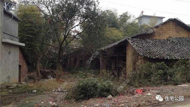 自建房帶超大庭院、泳池，看完都不想在城里買房了