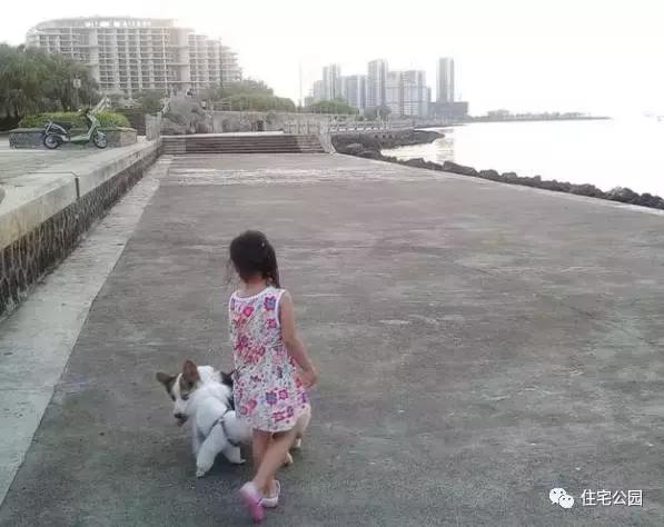 海南父子40萬(wàn)聯(lián)手自建2層養(yǎng)老房，這價(jià)錢你可信？